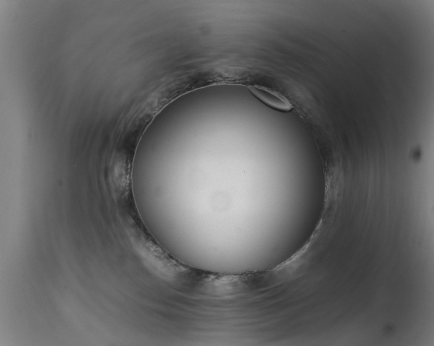 X0000111450186200907201058