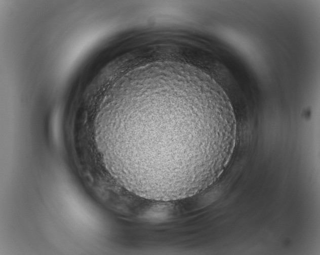 X0000111450189200907201058