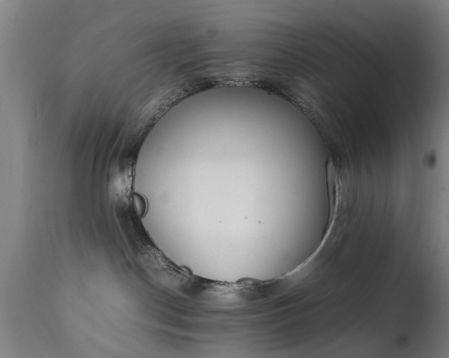X0000111450190200907201058