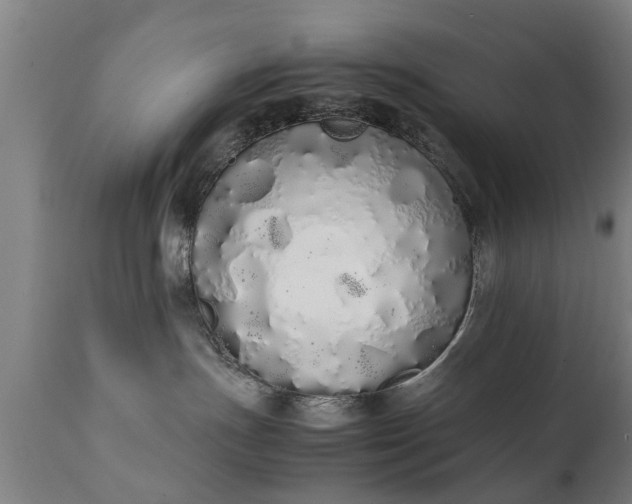 X0000111450191200907201058