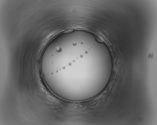 X0000111450193200907201058
