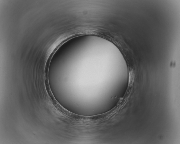 X0000111450195200907201058
