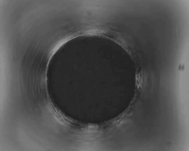 X0000111450196200907201058