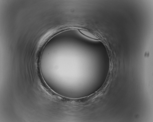 X0000111450197200907201058