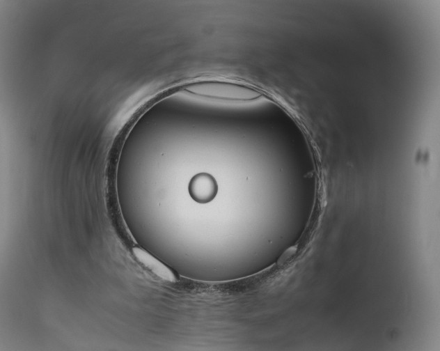 X0000111450199200907201058