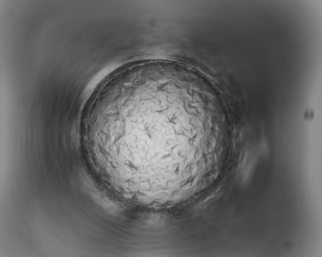X0000111450200200907201058