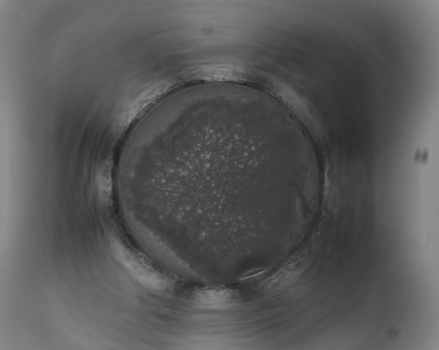X0000111450202200907201058