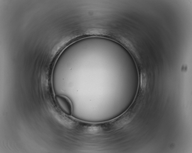 X0000111450204200907201057