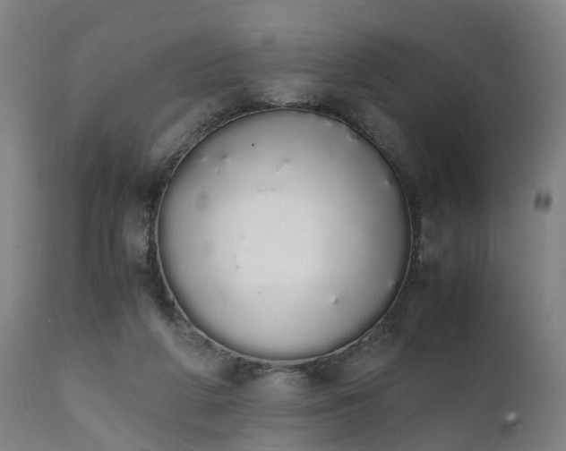 X0000111450210200907201057