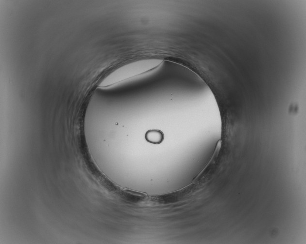 X0000111450211200907201057
