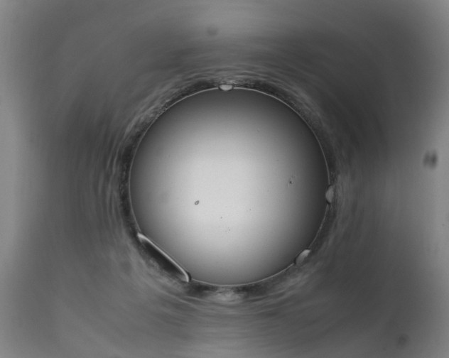 X0000111450217200907201057