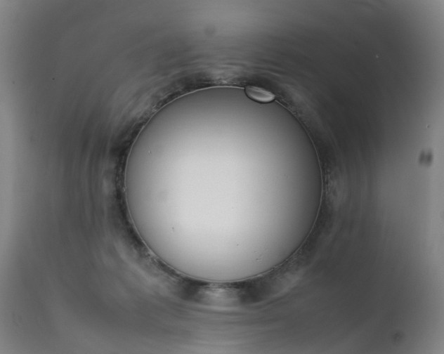 X0000111450221200907201057