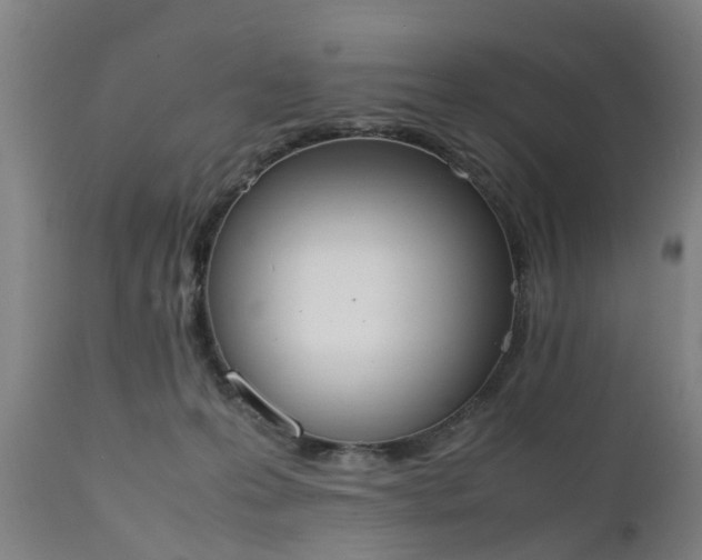 X0000111450223200907201057