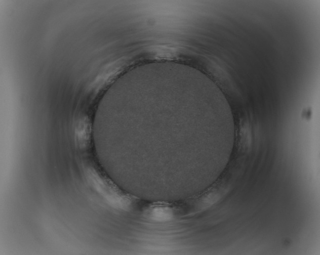 X0000111450228200907201057