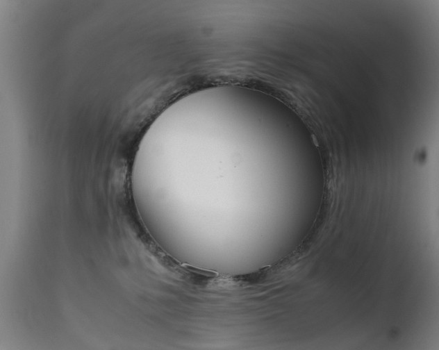 X0000111450231200907201057
