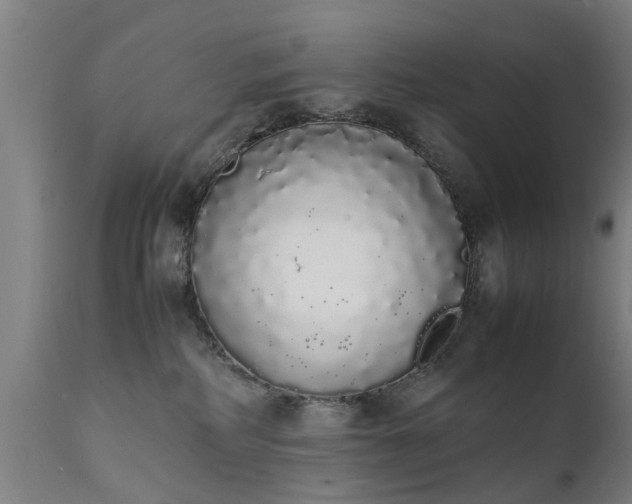 X0000111450234200907201057