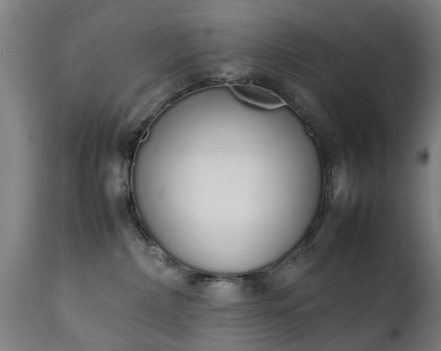 X0000111450236200907201057