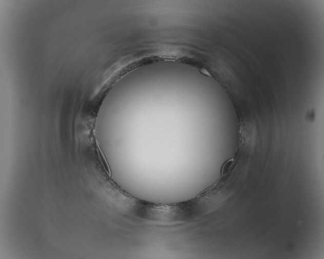 X0000111450237200907201057
