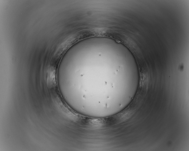 X0000111450238200907201057