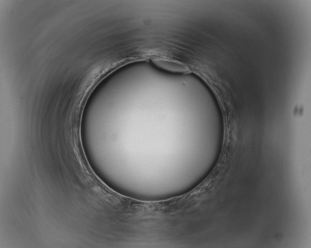 X0000111450241200907201056