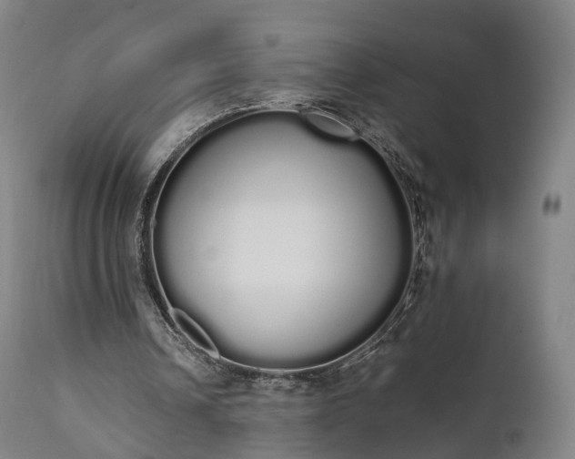 X0000111450242200907201056