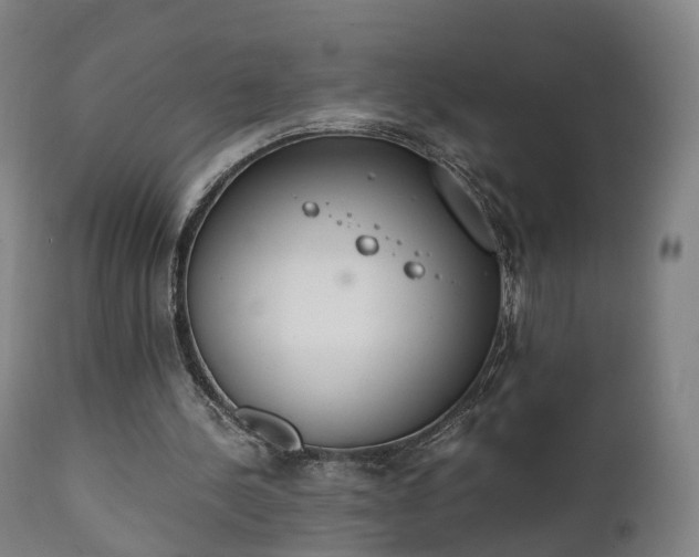 X0000111450244200907201056