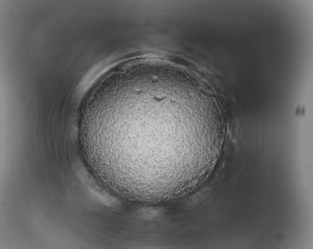 X0000111450247200907201056