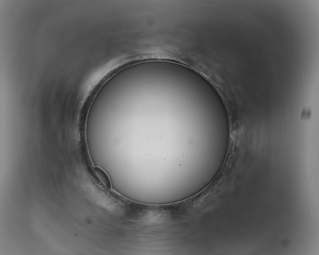 X0000111450248200907201056