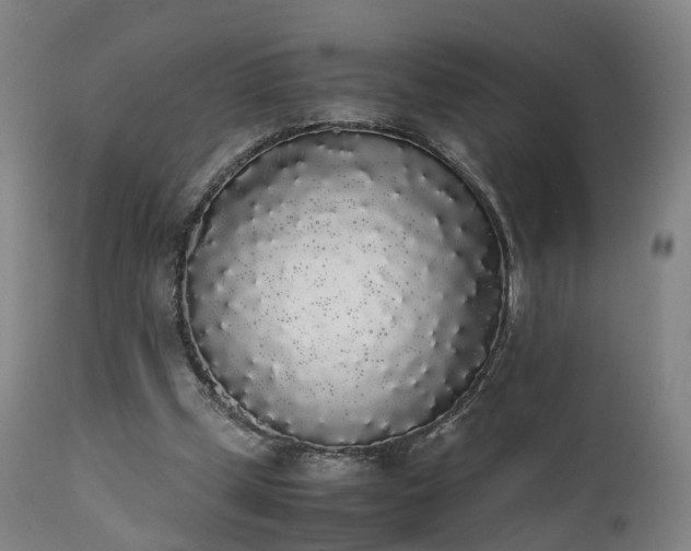 X0000111450249200907201056