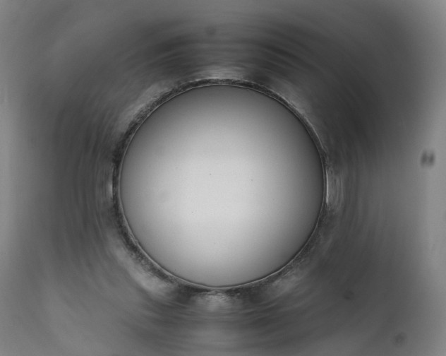 X0000111450253200907201056