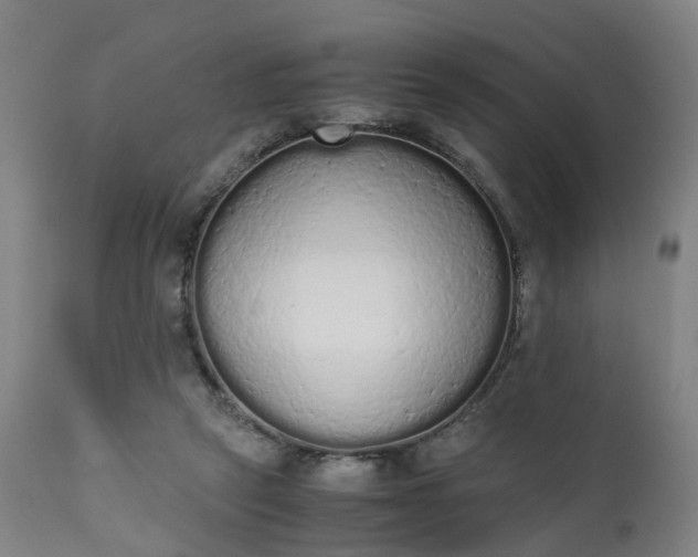X0000111450257200907201056