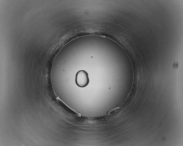 X0000111450260200907201056