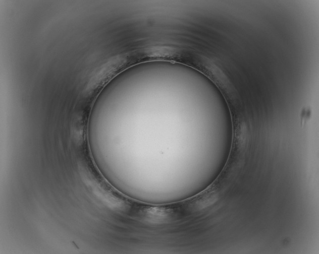 X0000111450261200907201056
