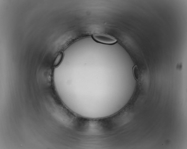 X0000111450264200907201056