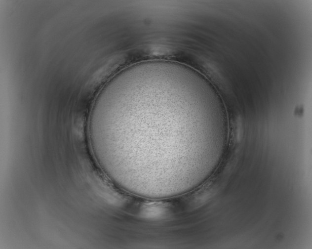 X0000111450269200907201057