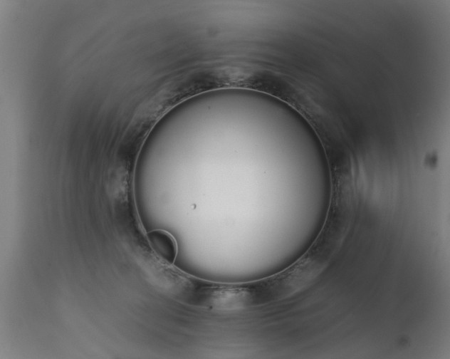 X0000111450274200907201057