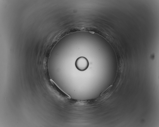 X0000111450280200907201057