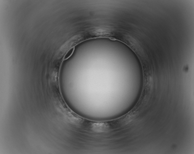 X0000111450281200907201057