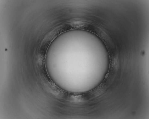 X0000111450283200907201057