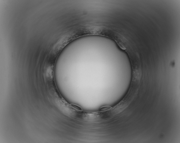 X0000111450286200907201057