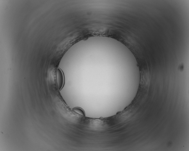 X0000111450287200907201057
