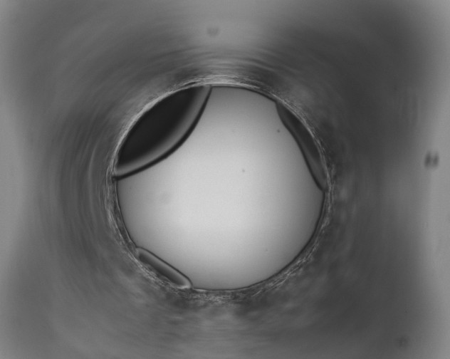 X0000111450289200907201056