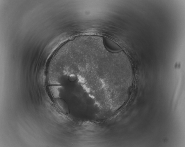 X0000111450290200907201056