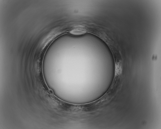 X0000111450291200907201056