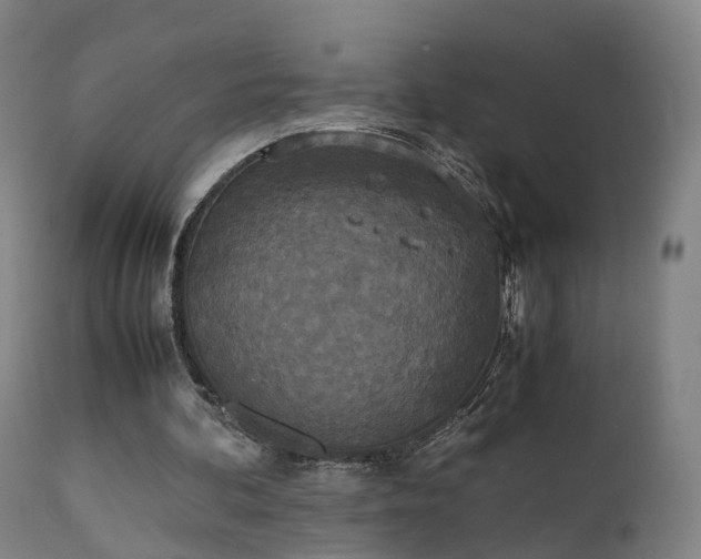 X0000111450292200907201056