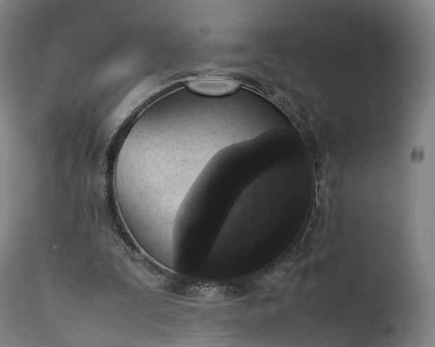 X0000111450295200907201056