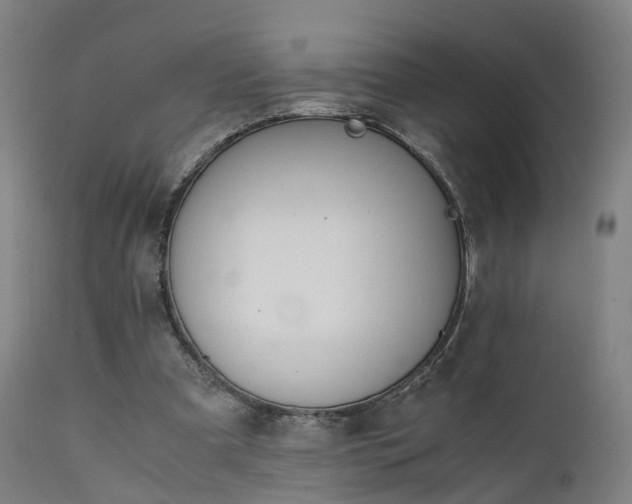 X0000111450297200907201056