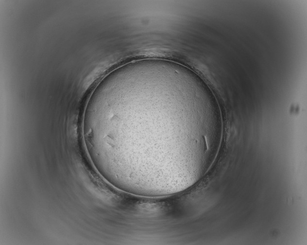 X0000111450299200907201056