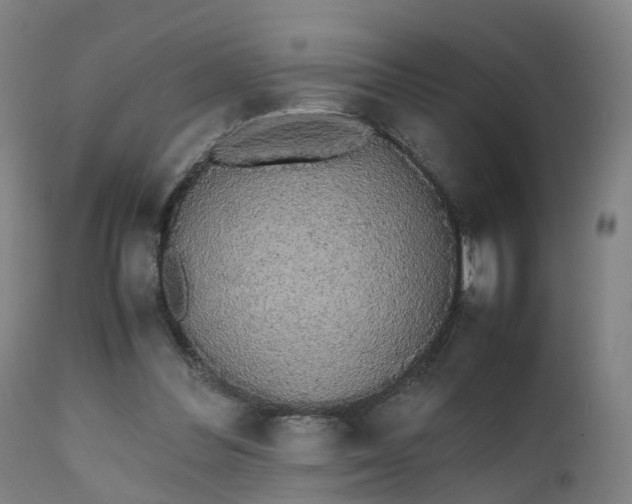 X0000111450300200907201056