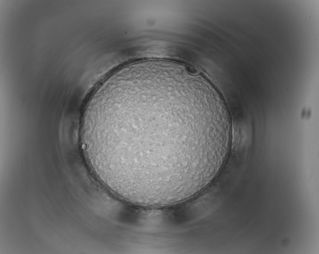 X0000111450301200907201056